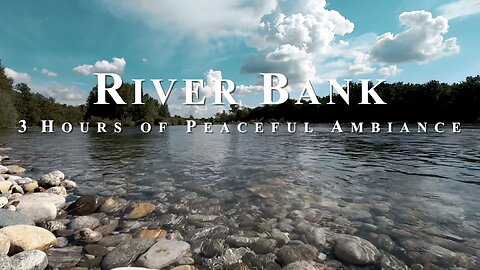 Relaxing Nature ASMR: Soothing Sounds of a River Bank - Perfect for Sleep and Meditation