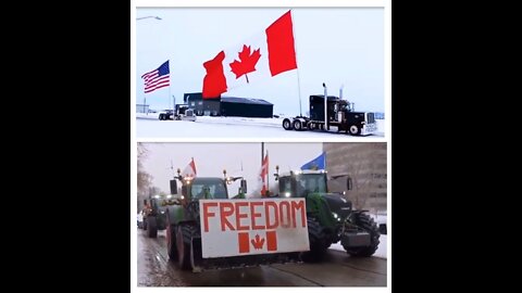 Freedom Convoy: An Inside Look at Its Impact