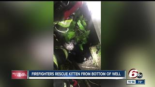 Indianapolis firefighters rescue kitten from bottom of a well