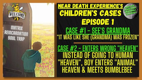 Ep1 NDE Commentary Children | FROZEN Grandma & Wrong "Heaven" | Matrix Reincarnation Soul Trap