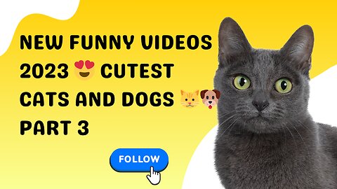 New Funny Videos 2023 😍 Cutest Cats and Dogs 🐱🐶 Part 03