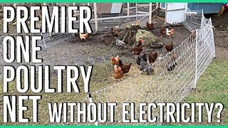 Using Premier One Poultry Net without Power ||Moveable Chicken Fence||