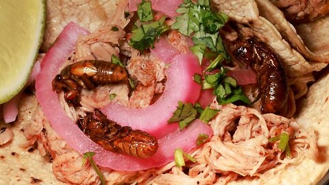 CBS Pushing Americans To 'Treat' Themselves To Cicada Recipes