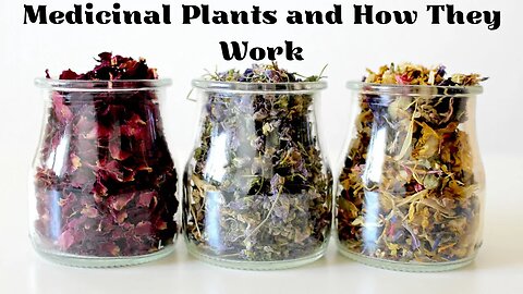 Medicinal Plants and How They Work
