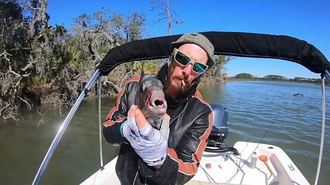 Sheepshead fishing Beaufort