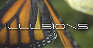 Illusions