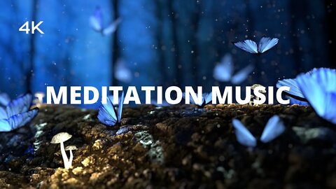 4K One Hour Of Meditation Music For Relaxing Mood