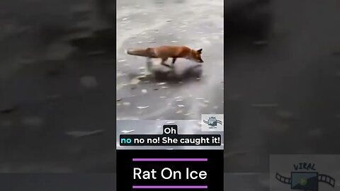 Hunting MICE On ICE #shorts