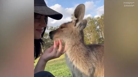 Video: Billie Eilish gets up close with some native wildlife in Australia