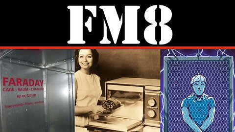 FM8 - FARADAY DILEMMA