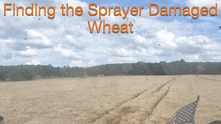 Finding the Sprayer Damaged Wheat