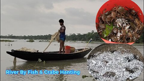 River By fish and crabe hanting l Amazing Fish & Small Crabe Hanting Live