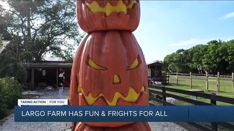 DK Farms in Largo has fall fun and festive frights for everyone in the family