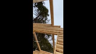 Hand Built Log Cabin! #logcabin #logcabinliving #loghome