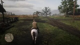 Red Dead Redemption 2 WTF