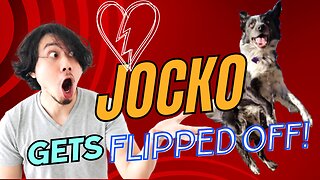 Jocko Gets Flipped Off- His Pure Heart!