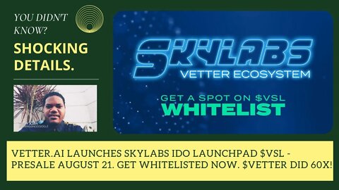 Vetter.ai Launches Skylabs Launchpad $VSL - Presale August 21. Get Whitelisted Now. $VETTER Did 60x!