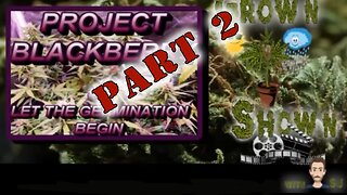Grow'n N Show'n with SJ [Series 1] Part 2 from Seed to Harvest "Project Blackberry"[LSR NETWORK]