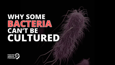 Why Some Bacteria Can’t Be Cultured