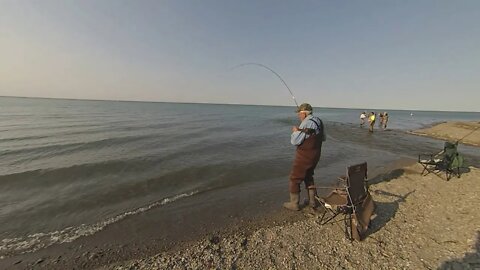 Lake Erie Steelhead - October Angling Options