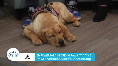 Empowering Children with Animals // Pawsitive Pac Service Foundation