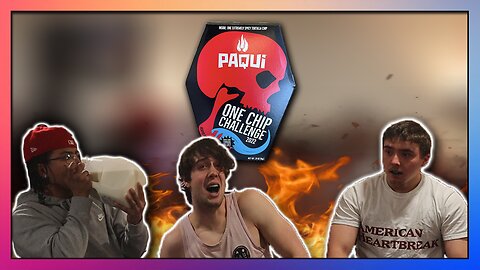 THE ONE CHIP CHALLENGE ALMOST KILLED US...