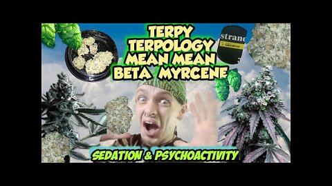 THC N TERP TALK - Beta Myrcene - Terpz & Proper Temps