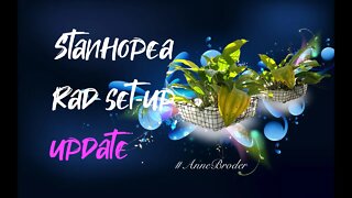 STANHOPEA IN EXTRACTOR FAN FILTER AS MEDIA | UPDATE #AnneBroder