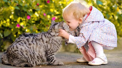 Its Time to Take some Rest -Cat with Child -❤️❤️ Pets Class Part 84