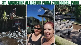 St. Augustine Alligator Farm Zoological Park - Florida