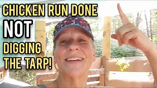 Chicken Run Done. NOT Digging the Tarp! - Ann's Tiny Life and Homestead