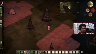 Bora tentar sobreviver no Dont Starve Together | minha live que esqueci de transmitir pro YouTube