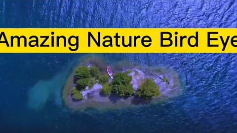 Amazing nature bird eye