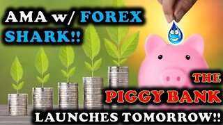 AMA w/ FOREX SHARK BEFORE THE PIGGYBANK UI LAUNCHES TOMORROW MARCH 1st