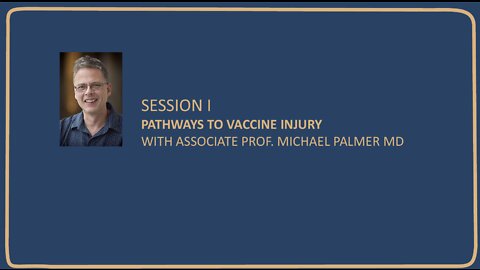 PATHWAYS TO VACCINE INJURY WITH ASSOCIATE PROF. MICHAEL PALMER MD