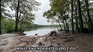 CHILLING AT MILLERS POND STATE PARK