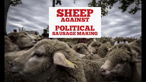 Political Sausage Making has Morphed into a Beacon of Crisis Sheep...