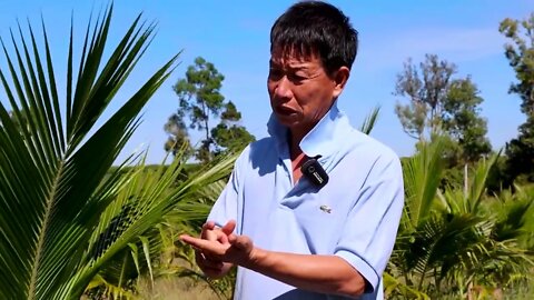 ដូងតក់ និងដូងនាឡិ / EXM Cambodia Agriculture / Khmer Agriculture