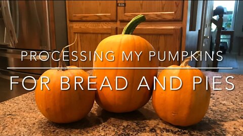 How Process your pumpkins