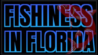 Something Fishy Is Happening In Florida | Floatshow [5PM EST]