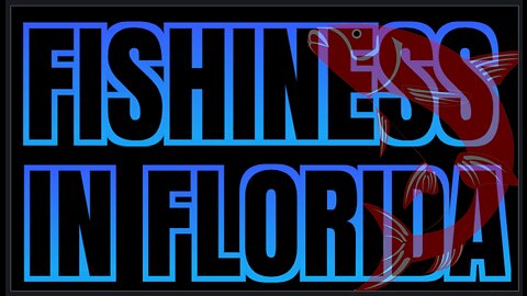 Something Fishy Is Happening In Florida | Floatshow [5PM EST]