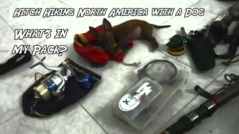 Hitch Hiking North America with a Dog, What's in my Pack? (Mexico 2016)