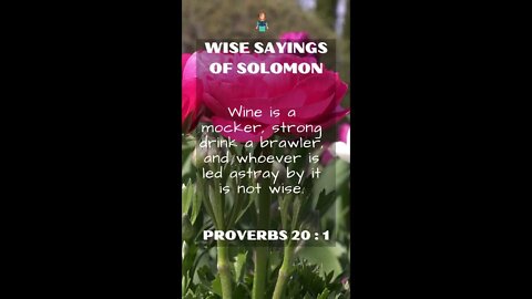 Proverbs 20:1 | NRSV Bible - Wise Sayings of Solomon