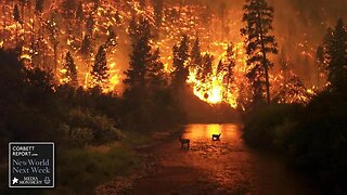 Wildfires From Climate Liars! - #NewWorldNextWeek