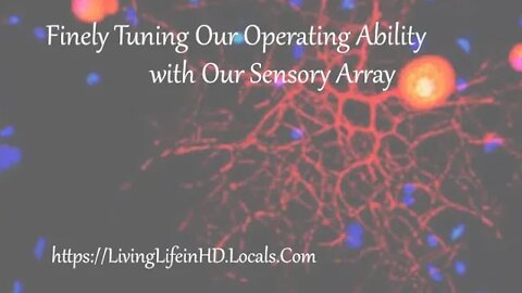 Finely Tuning Our Operating Ability with Our Sensory Array