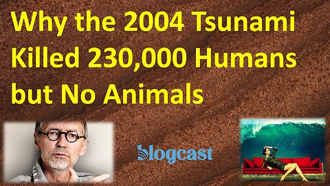 Why the 2004 Tsunami Killed 230,000 Humans but Virtually No Animals (Blogcast)