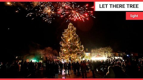 Britain's darkest village becomes illuminated with 52ft christmas tree