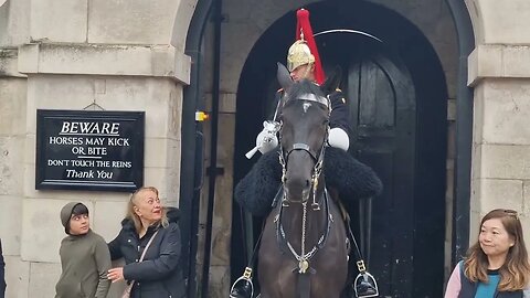 She did not listen the first time so he said it again louder stand clear #horseguardsparade