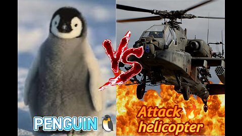 Penguin 🐧 vs attack helicopter 🚁