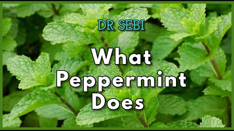 DR SEBI - WHAT PEPPERMINT DOES